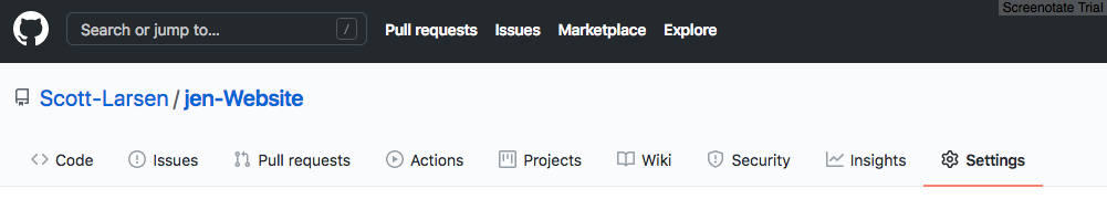 GitHub Repository Settings Tab